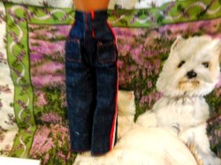 barbie jeans back